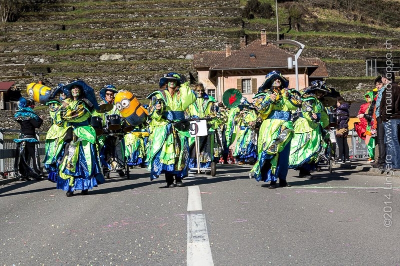 carnevale_roveredo_2014 (015).jpg - *